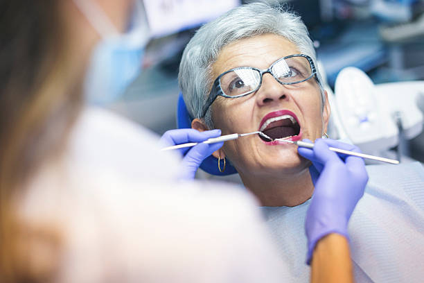 Mayer, MN  Holistic Dental Services Company